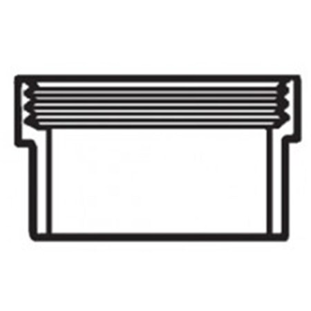 Westlake Pipe & Fittings 1.5 in. Spigot x FPT Cleanout Adapter D105015